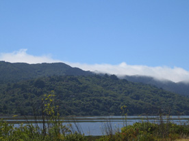 View of Tomales Bay heading towards Marshall, CA
